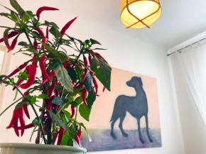 Ditas Seaside Park Apartment